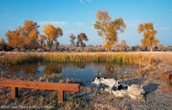 338 GAS HILLS Road, Riverton, WY 82501