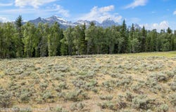300 REED Drive, Jackson, WY 83001
