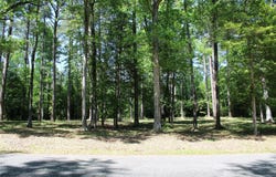 356 Woodsway Circle, Chatham, LA 71226