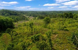 259 NEW HOPE Dr, Cordova, AL 35550