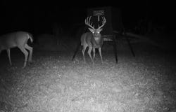 9404 E 460 RD, Claremore, OK 74017