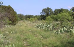 1000 County Rd 201, Brady, TX 76825
