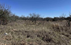 Lot 128 Brent Drive, Kingsland, TX 78639