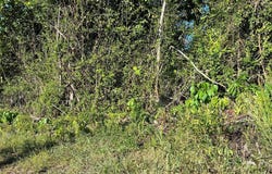 KEAAU PAHOA RD, Keaau, HI 96749