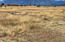 Walsen Drive, Colorado City, CO 81019