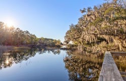 4400 Wando Farms Road, Mount Pleasant, SC 29429