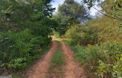 Roberts Drive, Royston, GA 30662