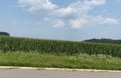 000 GENOA, BELVIDERE, IL 61008
