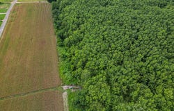 Dawson Road, Tchula, MS 39169