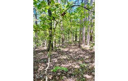 16 Pamplona Lane, Hot Springs Village, AR 71909