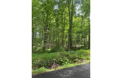 Tbd Carsonville Rd, Independence, VA 24348