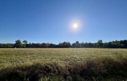 2.56 Acres Snipes Road, Hurdle Mills, NC 27541