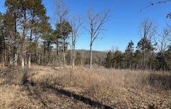 Warden  RD, Omaha, AR 72662