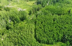 Tbd County Rd 89, Park Rapids, MN 56470