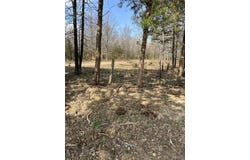 (21.58+/-ac) Tract #6 Horstman Road, New Haven, MO 63068