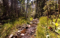 County Rd 46, Aguilar, CO 81020