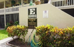 20893 HAULOVER Cove, LUTZ, FL 33558