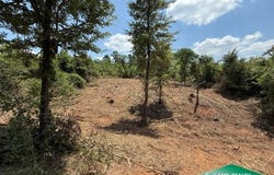 0 Hwy 151, Downsville, LA 71234