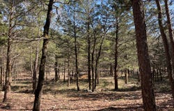 000 Wolf Trail, Moyers, OK 74557