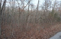 000 Algonquin Circle, Cherokee Village, AR 72529