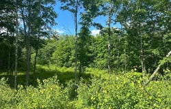 Frescoln Road lot: #4, Wentworth, NH 03282