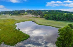 1648 Rosevine Rd., San Augustine, TX 75972