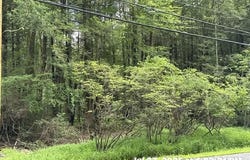 Lot 12 EDGE ROCK  DR, Drums, PA 18222