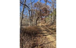 000 Tbd County Rd T-541, Ava, MO 65608