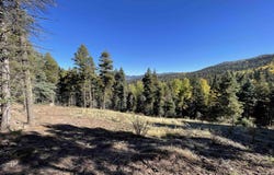 Vail Loop lot: 373, Angel Fire, NM 87710