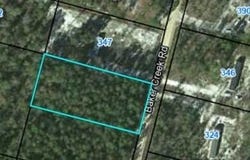 Baker Creek Road, Nahunta, GA 31553