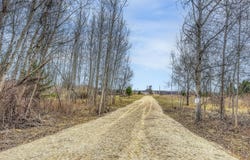 8692 E Baseline Road, Mount Pleasant, MI 48858