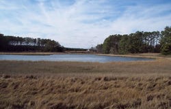 METOMPKIN RD lot: 16, GARGATHA, VA 23421