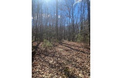 4001 Steven Hole Run Road, Buckeye, WV 24924