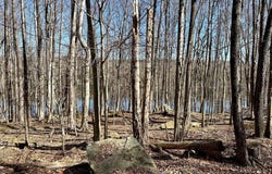 144 Sheridan Road, Hawley, PA 18428