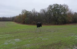 2000 Walnut Lake Road-Dundee, MS 38626