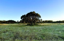 #2 Seven Springs lot: 2, Junction, TX 76849