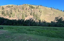 2202 N Hwy 93, North Fork, ID 83466