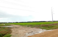 Gumpoint Road, Branch, LA 70516