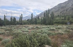 1239 Swall Meadows Rd, Bishop, CA 93514