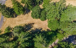 165 SATURN AVE, Woodland, WA 98674