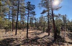 3461 W Black Oak Loop, Show Low, AZ 85901