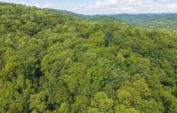 Gravely Valley Road, Eidson, TN 37731