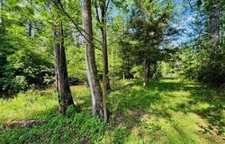 000 CR 127, Calico Rock, AR 72519
