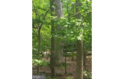 700 MAPLE Avenue, NORTH BEACH, MD 20714