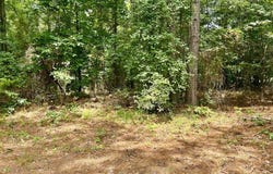 CR 4687, Atlanta, TX 75551