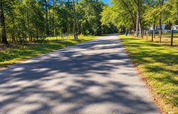 8127 Gabe (Lot 2) Road, Adams Run, SC 29426