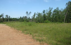0 Pineland, Hazlehurst, GA 31539
