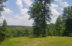 0 County Rd 6, Tract A, Selma, AL 36701