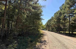 Thomas Road, Clinton, AR 72031