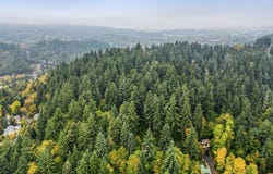 N Shasta Loop, Eugene, OR 97405